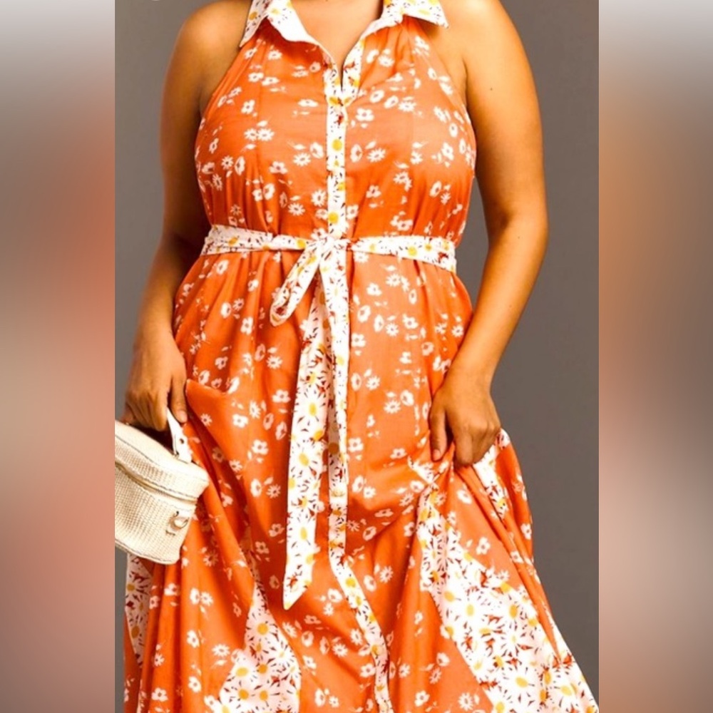 Anthropologie Terracotta and Cream Backless Dress
